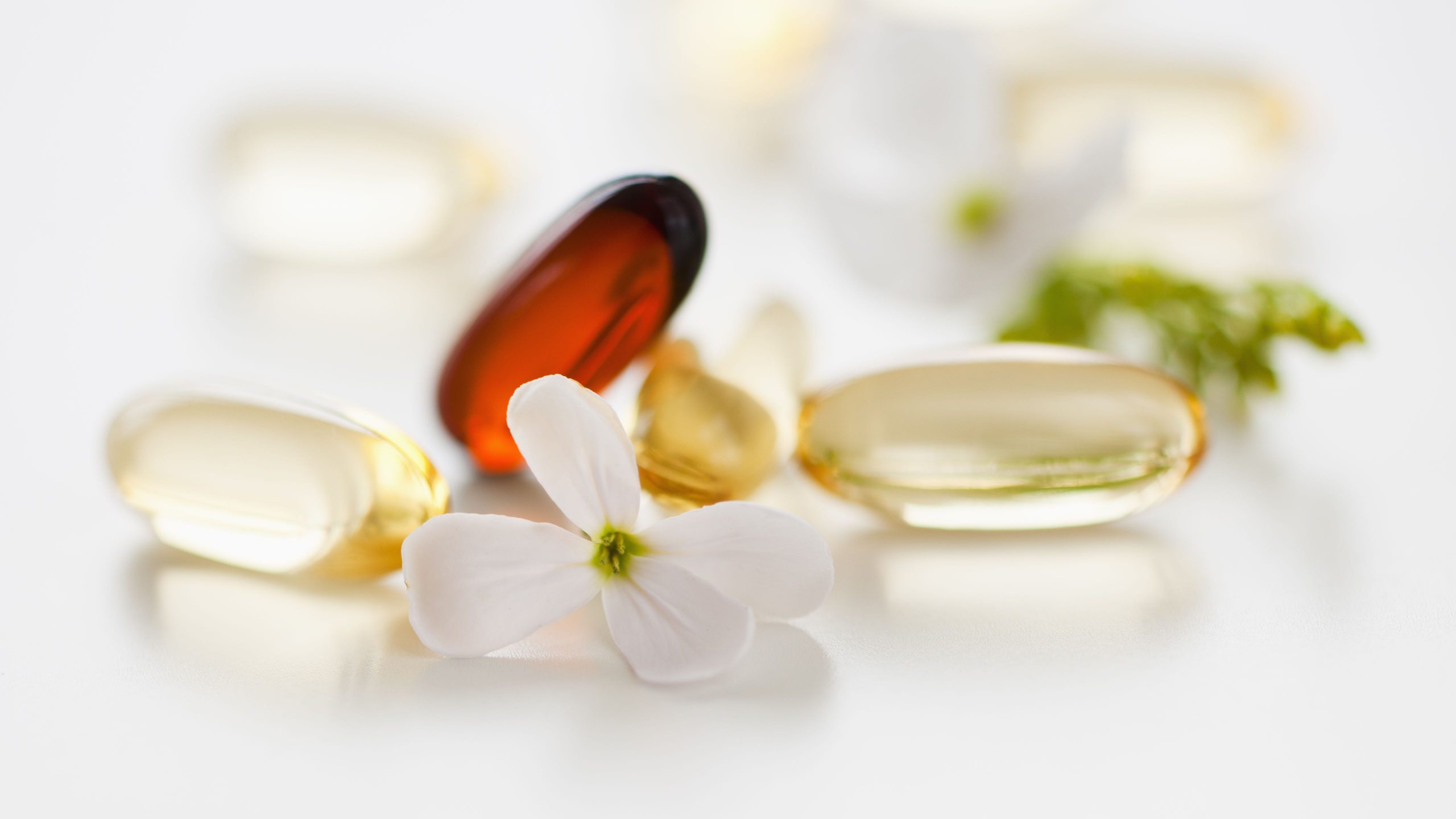 Nutraceutical Third Party Contract Manufacturers in India